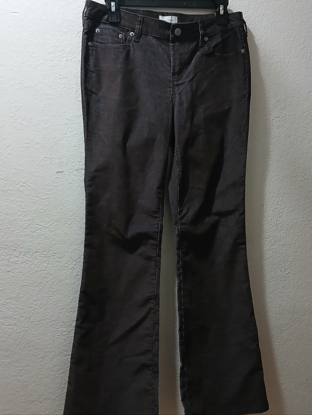 PacSun nwot size 27 Brown Corduroy Pants